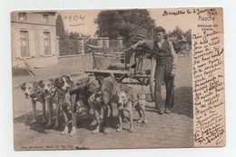 CP ASSCHE Attelage De Chiens 1904 (ASSE), NELS BRUXELLES.........CP11 - Asse