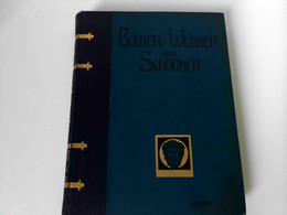 Schillers Historische Schriften - Geschichte Des Abfalls Der Niederlande. Ausgewählt Und Eingeleitet Von J. E. - Duitse Auteurs