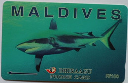 Maldives Rf.100 109MLDC " Grey Shark " - Maldive