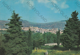 CARTOLINA  AGNONE,ISERNIA,MOLISE,PANORAMA,BELLA ITALIA,STORIA,MEMORIA,CULTURA,RELIGIONE,BOLLO STACCATO,VIAGGIATA 1981 - Isernia