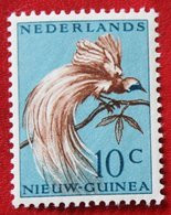 10 Ct Paradijsvogels Birds Vogel NVPH 27 1954 POSTFRIS MNH NIEUW GUINEA NIEDERLANDISCH NEUGUINEA NETHERLANDS NEW GUINEA - Nouvelle Guinée Néerlandaise