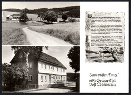 F5983 - Lobenstein Post  - Grüner Esel Gaststätte Zum Weißen Trutz - Verlag König - Lobenstein