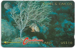 Turks & Caicos - C&W (GPT) - Redband Parrot Fish - 6CTCA - 1994, 10$, 20.000ex, Used - Turks E Caicos (Isole)