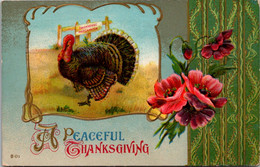 Thanksgiving With Turkey 1911 - Giorno Del Ringraziamento