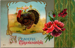 Thanksgiving With Turkey 1911 - Thanksgiving