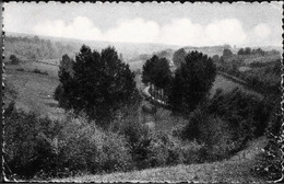 AMONINES - Vue Vers Devantave - Oblitération De 1957 - Erezée