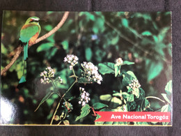 Postcard Torogoz , National Bird 2016 - El Salvador