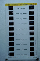 LESTRADE :    710 B  AUVERGNE  :  PUY DE SANCY  :  ÉTÉ - Visionneuses Stéréoscopiques