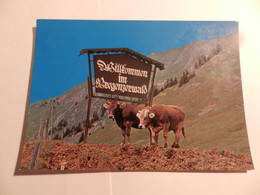 Oude Postkaart Van Oostenrijk  --  Bregenzerwald - Bregenzerwaldorte