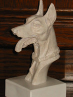 Tête De Doberman - Honden
