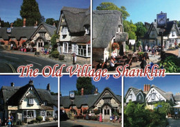 1 AK England * The Old Village Shanklin Auf Der Isle Of Wight  * - Shanklin