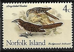 Norfolk Island : MNH ** 1970 :    Pacific Long-tailed Cuckoo  -  Urodynamis Taitensis - Coucous, Touracos