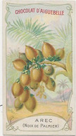Chromo Aiguebelle 10,5 X 5.5 - Plante Fruit - Arec (noix De Palmier) - Aiguebelle