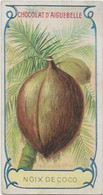 Chromo Aiguebelle 10,5 X 5.5 - Plante Fruit - Noix De Coco - Aiguebelle