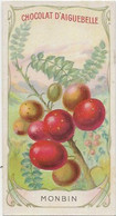 Chromo Aiguebelle 10,5 X 5.5 - Plante Fruit - Monbin - Aiguebelle