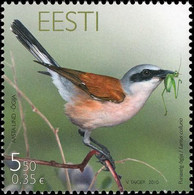 Estonia Estland 2010 Bird Of The Year The Red-back Shrike (Lanius Collurio) Stamp Mint - Moineaux