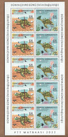 AC - TURKEY STAMP - WORLD ENVIRONMENT DAY - CLIMATE CHANGE GREEN SEA TURTLE MNH FULL SHEET KLEIN BOGEN 05 JUNE 2022 - Ongebruikt