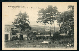 CPA - Carte Postale - Belgique - Burmontige Lez Werbomont - Paysage Aux Environs De La Source De Harre  (CP20557) - Ferrieres