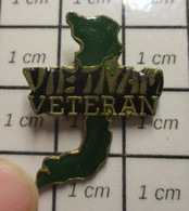 2622 Pin's Pins / Beau Et Rare / THEME : MILITARIA / VIETNAM VETERAN - Militaria