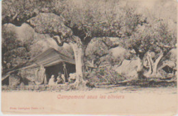 YB / Tunisie. Phot. GARRIGUES N° 9 (Légende Caractères Penchés En Gras) Campement Sous Les Oliviers ( Carte "molle") - Tunisie