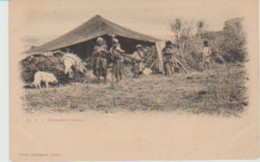 YB / Tunisie. Phot. GARRIGUES N°94 (Légende En Caractères Minces Penchés) Campement Bédouin) - Tunisie