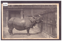 JARDIN ZOOLOGIQUE - RHINOCEROS - TB - Rinoceronte