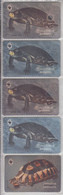 RUSSIA RED MAP TURTLE WWF 5 DIFFERENT CARDS - Russia
