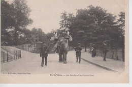 CPA Précurseur Paris - Paris Vécu - Au Jardin D'Acclimatation (très Jolie Scène Avec éléphant) - Parcs, Jardins