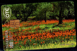 GREECE 1995 PHONECARD FLOWERS USED VF!! - Blumen