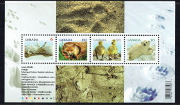 2011  Baby Wildlife Definitives Hare, Fox, Geese, Bears  Souvenir Sheet Of 4 Different Sc 2424  MNH - Unused Stamps