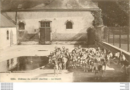 (Ro) 72 LE LUART. Meute De Chiens De Chasse à Courre Au Chenil Du Château 1936 - Unclassified