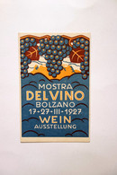 Cartolina Mostra Del Vino Bolzano Wein Ausstellung 1927 Non Viaggiata Molto Rara - Autres