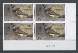 SPM Miquelon 2021 N° 1277 ** Bloc De 4 Coin Daté Neuf MNH Superbe Faune Oiseau Bird Chevalier Grivelé Actitis Macularius - Ongebruikt