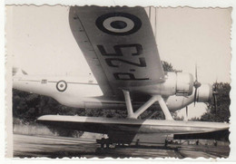 CANT Z.506C AEREO IDROVOLANTE SEAPLANE HYDRAVION - FOTO ORIGINALE 1940/50? - Aviation