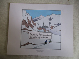 3 PLANCHES EXTRAIT DE TINTIN AU TIBET TINTIN  HERGE MOULINSART 2011 - Hergé