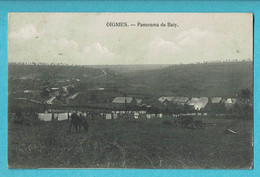 * Oignies (Viroinval - Namur - La Wallonie) * (Ed. Auguste Baudrez) Panorama Du Baty, Vue Générale, Vache, Koe, Linge - Viroinval