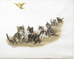 Héléna Maguire - CHATS - Chromo Signé HM - Chromo Chats, Chat, Chatons  Cats. Cat, Et Oiseau 12 X 9.5 CM - Autres