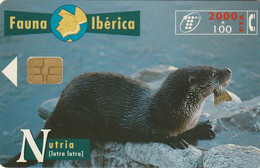 Spain, Espagne, Telefonica Fauna Iberica Nutria - Otros & Sin Clasificación