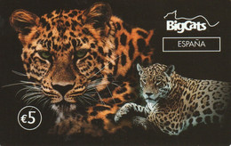 Spain, Espagne, Bigcats 5 € - Altri & Non Classificati