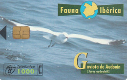 Spain, Espagne, Telefonica Fauna Iberica Gaviota De Audouin 1000 Pta - Otros & Sin Clasificación