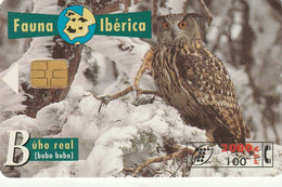 Spain, Espagne, Telefonica Fauna Iberica 2000 + 100 Buho Real - Autres & Non Classés