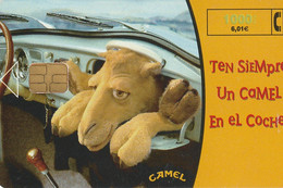 Spain, Espagne, Telefonica Camel 1000 6.01 - Sonstige & Ohne Zuordnung
