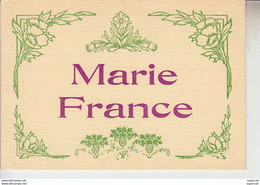 RT29.253  PRENOM  : MARIE-FRANCE.EN VIOLET. CADRE FLEURS EN VERT.DESSIN .P. GERARD.EDIT.C. LAMBERT - Prénoms