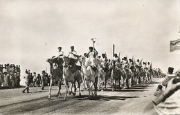 Real Photo Souvenir Mauritanie Caravane Chameaux Camel Caravan Meharistes Mehari French Officers - Mauretanien