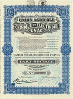 -  Titre De 1929 -  Union Agricole Chimique Et Electrique - UNAC - Jodoigne - Agriculture