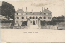 CPA  Chateau De Coppet - Coppet