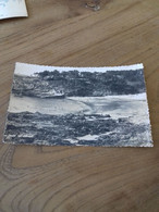 Delcampe - 49/ MOELAN SUR MER KERFANY LES PINS LA PLAGE ET LA POINTE DE KERFANY - Moëlan-sur-Mer