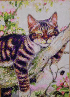 Tableau Perles ( Diamond Painting) : Chat Endormi - Perle