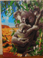 Tableau Perles ( Diamond Painting) : Koala - Perle