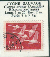 NORVEGE - Faune, Cygne Sauvage - 1956 - MH-oblitéré - Sonstige & Ohne Zuordnung